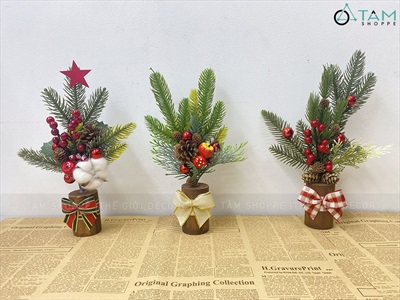 Chậu thông mini để bàn cành đỏ mọng cao 28cm đế gỗ [Nhiều kiểu] CHAUCAYGIA-19